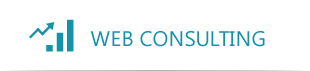 WEB CONSULTING